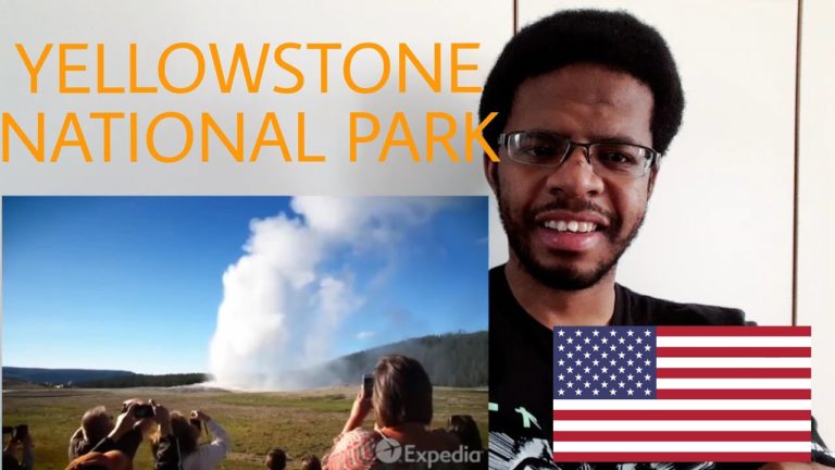 Yellowstone National Park Vacation Travel Guide | Expedia | REACTION
