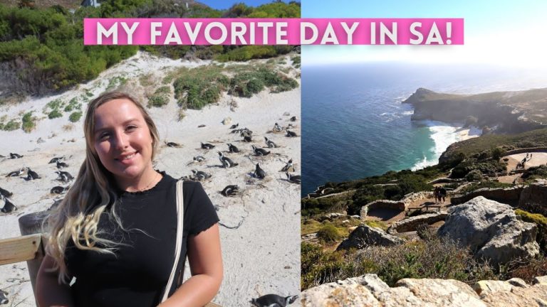 The BEST Cape Point & Penguin DAY TRIP! So much wildlife! Africa Adventure Vlog 10