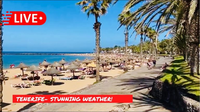 🔴LIVE: STUNNING Day in Tenerife-Blue Skies & Busy Beaches! ☀️