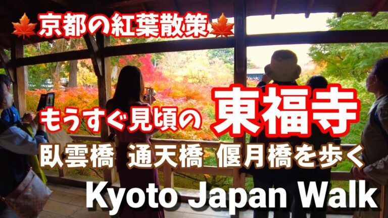11/13(日)京都の紅葉散策🍁東福寺もみじの三名橋を歩く/Kyoto Japan walk!