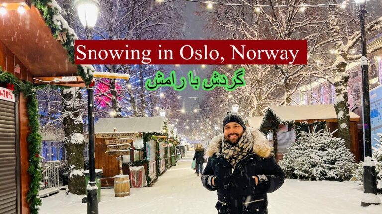 Snow fall in Oslo, Norway