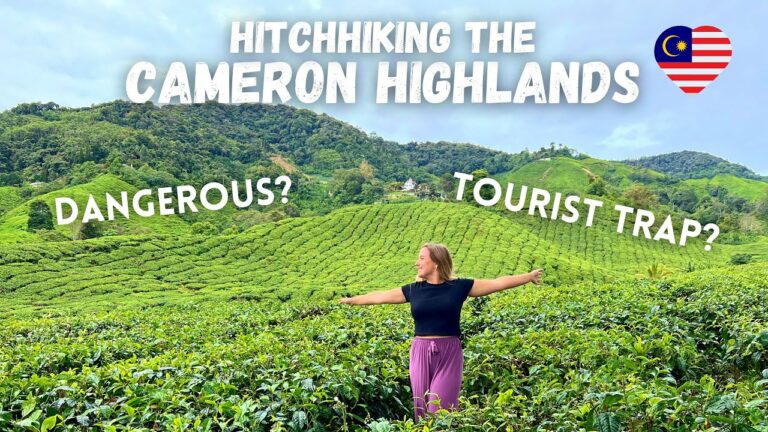Hitchhiking Malaysian Tea Plantations: The Cameron Highlands | Southeast Asia Vlog 20