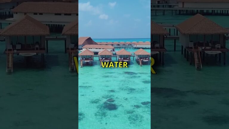 The Cost of Paradise: Maldives Edition | #shorts #maldives #maldivesislands #travel #maldivesresorts