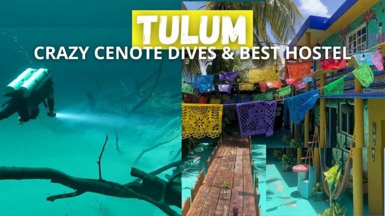 DIVING in the most mystical CENOTES & Best HOSTEL in Tulum | Central America Backpacking Vlog 24