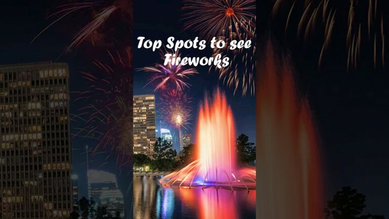 #losangeles #fireworks #nye #newyear2024 #usa #shorts #america #vlog #happynewyear #2023